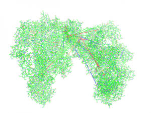 After saving edits in Coot, a PDB file displayed in PyMol may show a crazy connectivity...